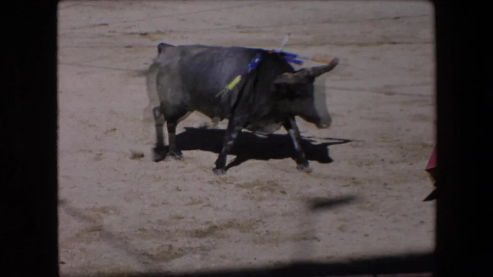 A black bull with colored banderillas across its shoulders stands in the Barcelona bullring, with the matador mostly out of frame at the right edge.