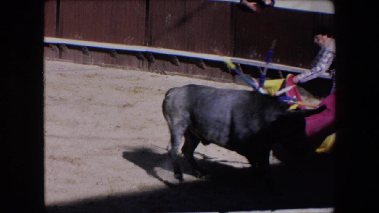 The bull moves close past the matador and red and yellow cape in the 1971 Barcelona bullring, partially cropped by the handheld 8mm framing.