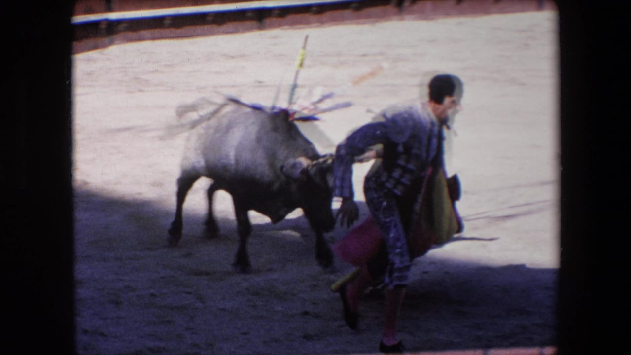 Matador with cape faces a dark bull in a sunlit arena.