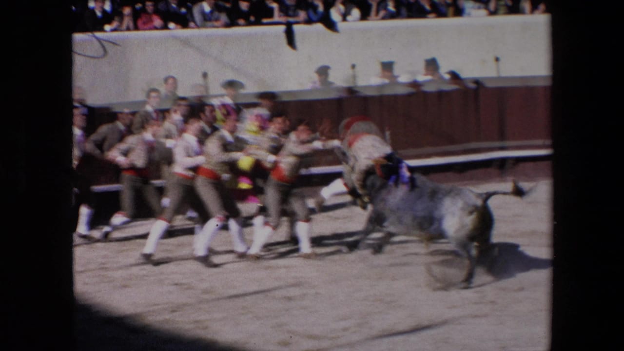 Uniformed arena attendants run together near a bull carrying banderillas, with spectators watching from behind the arena barrier in the 1971 Barcelona clip.