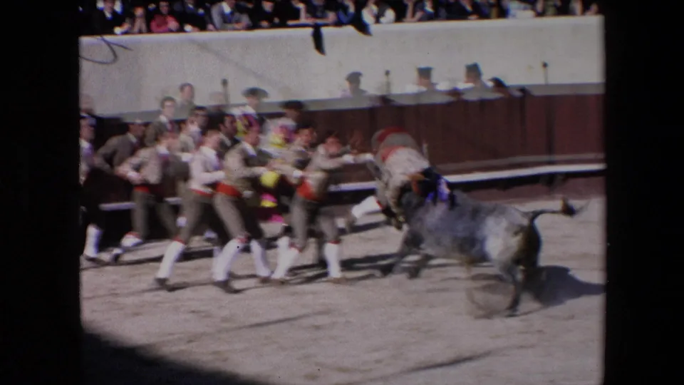 Uniformed arena attendants run together near a bull carrying banderillas, with spectators watching from behind the arena barrier in the 1971 Barcelona clip.