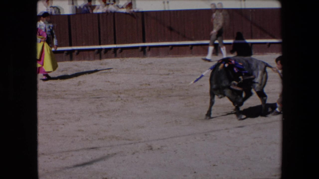 Barcelona, Spain, 1971 8mm frame showing a grey bull from behind as a participant appears to hold or reach toward its tail in the arena.