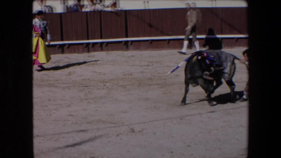Barcelona, Spain, 1971 8mm frame showing a grey bull from behind as a participant appears to hold or reach toward its tail in the arena.