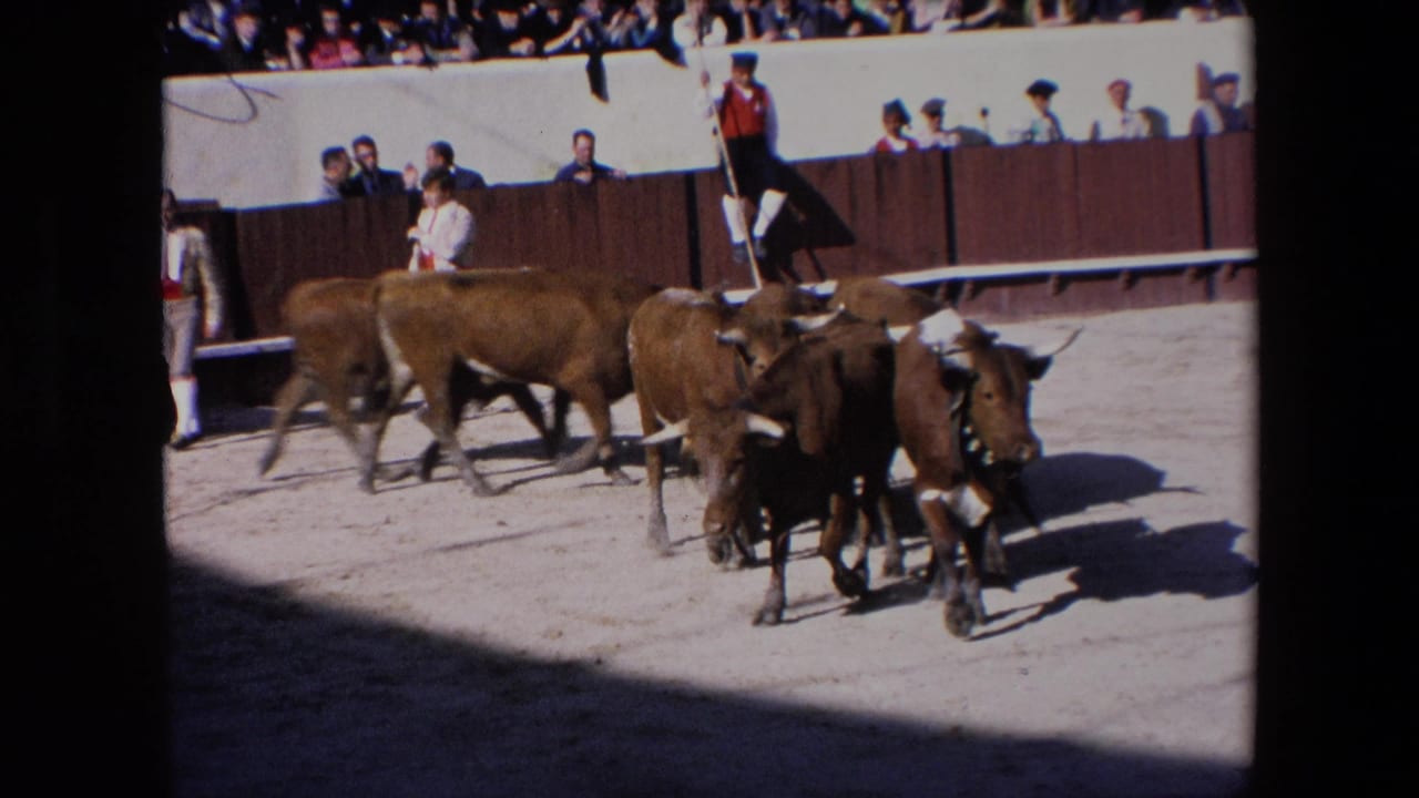 The 1971 Barcelona home-movie frame shows bulls turning in the dirt ring with strong shadow across the foreground and spectators watching from behind the barrier.