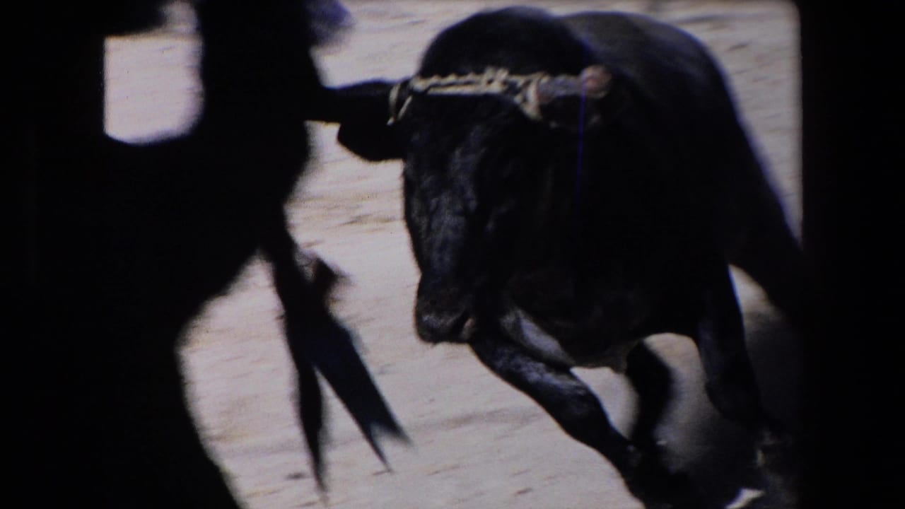 A black bull with visible horns charges across the sandy bullfighting ring, partly obscured by a dark foreground silhouette in the 1971 Barcelona home-movie footage.