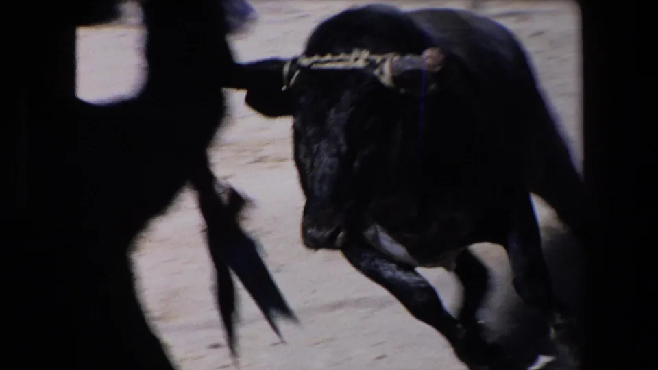 A black bull with visible horns charges across the sandy bullfighting ring, partly obscured by a dark foreground silhouette in the 1971 Barcelona home-movie footage.