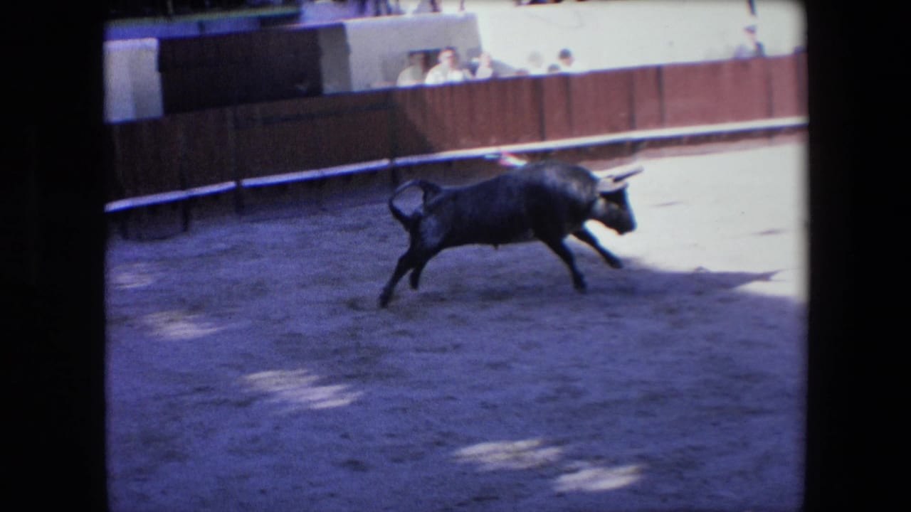 A black bull runs across the sandy arena floor while spectators watch from behind a wooden barrier in 1971 Barcelona bullfight footage.