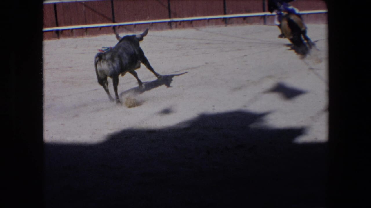 The bull moves across the sandy ring while a mounted bullfighting performer appears near the right edge, with arena boards and large shadows visible in the 1971 Barcelona footage.
