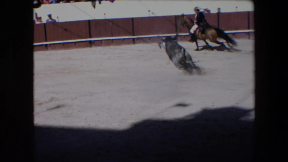 In 1971 Barcelona bullfighting footage, a bull runs across the sandy ring toward a mounted bullfighter as spectators sit behind a wooden arena barrier.