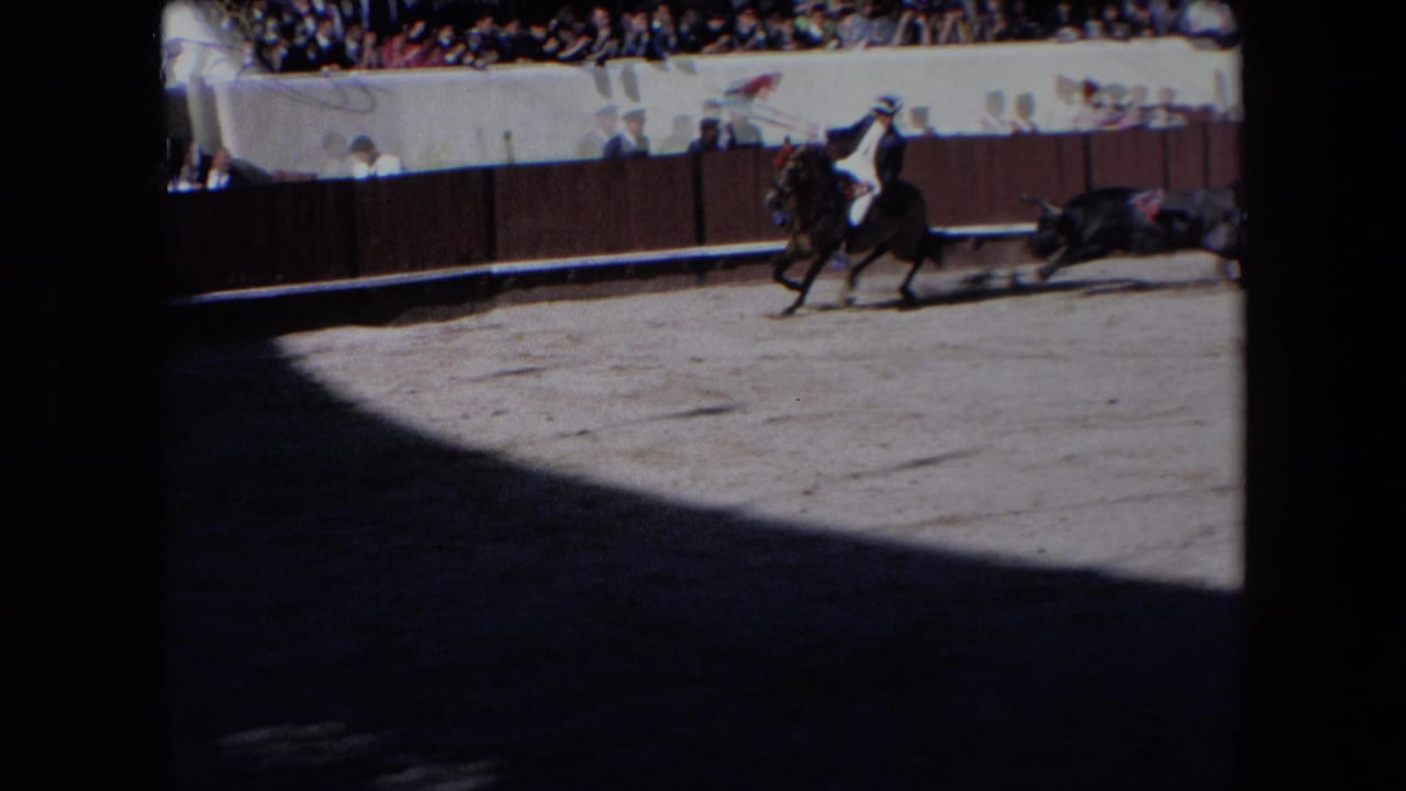 Mounted bullfighter moves along the arena barrier as a bull follows at a distance.