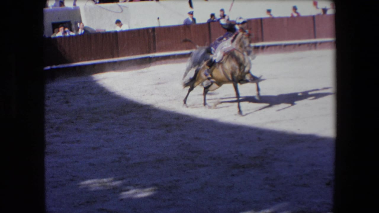 A horse-mounted bullfighter passes close to the bull in the Barcelona arena, with the ring floor split by bright sunlight and heavy shadow.