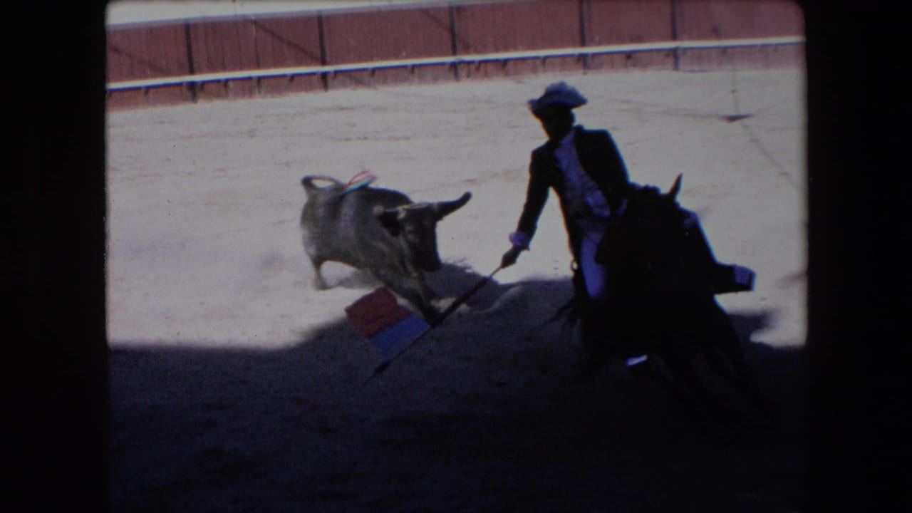 A bull approaches the mounted bullfighter at the edge of the frame, where the rider holds a colored cape or lance-like object in a shadowed part of the Barcelona arena.