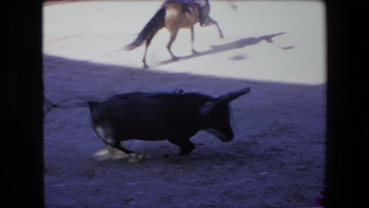 In metadata-supported 1971 Barcelona bullring footage, a black bull moves across the shadowed sandy arena with a mounted rider visible in the bright background.