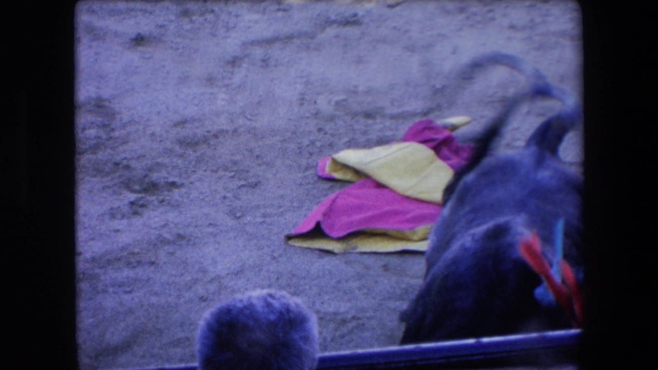 A black bull stands near pink and yellow cape cloths in the sandy bullring, with the top of a spectator's head visible along the arena barrier.