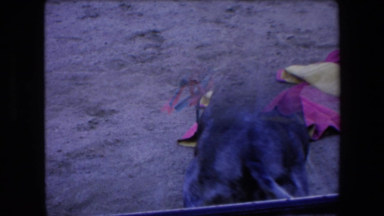 The bull appears close to the camera position near the arena barrier, with bright cape cloths on the sandy ground and the 8mm frame showing a strong blue-purple shift.