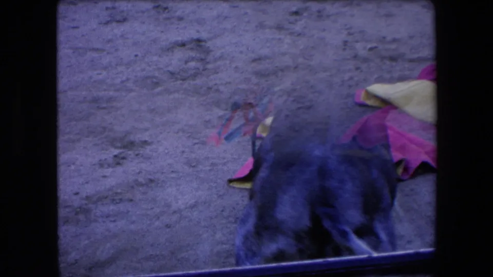 The bull appears close to the camera position near the arena barrier, with bright cape cloths on the sandy ground and the 8mm frame showing a strong blue-purple shift.