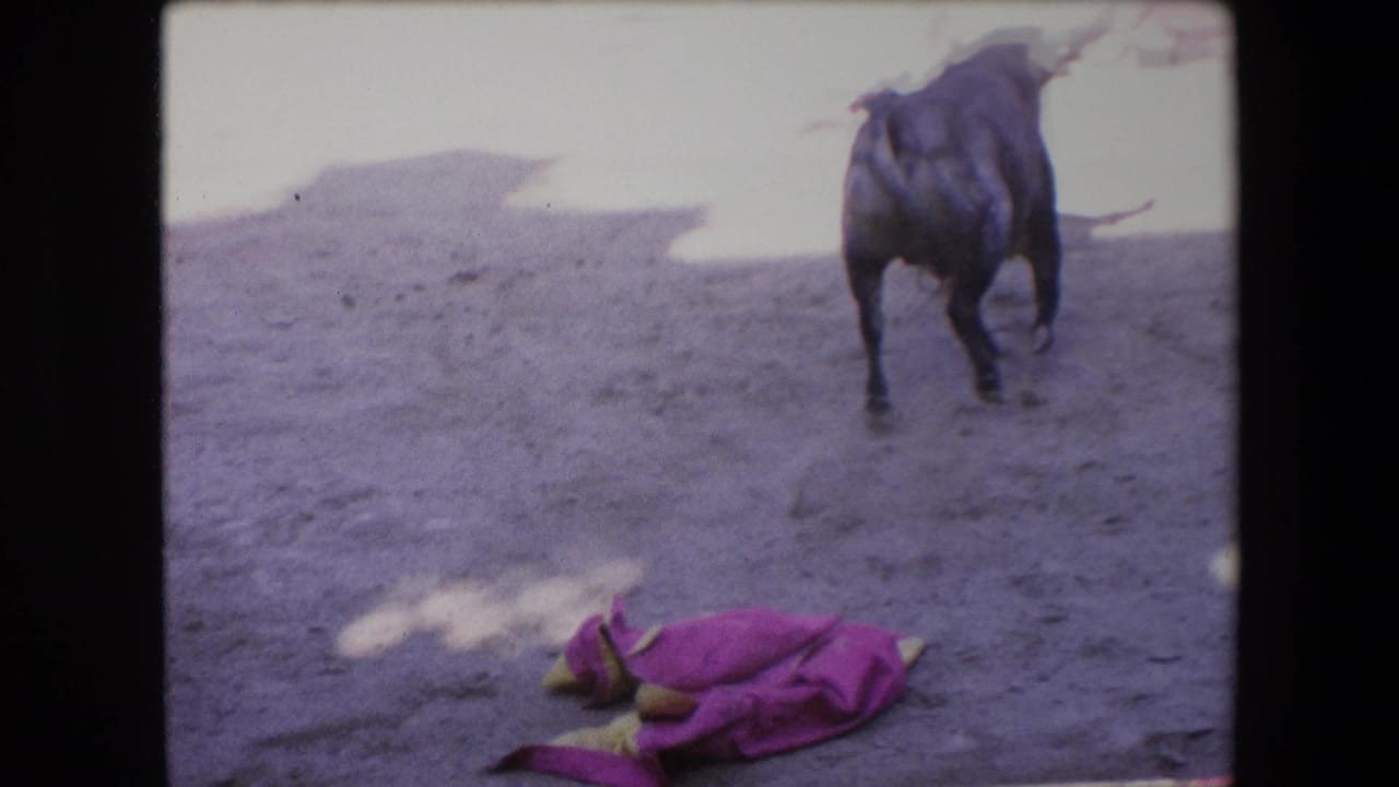 A black bull moves away across the pale sandy arena while a pink cape cloth lies in the foreground, framed by soft, grainy 8mm exposure.