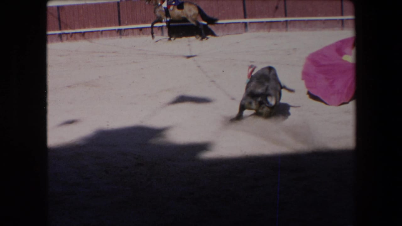 In 1971 Barcelona bullfighting footage, a black bull charges across the sandy ring while a magenta cape enters from the right and spectators are implied by the shaded foreground viewpoint.