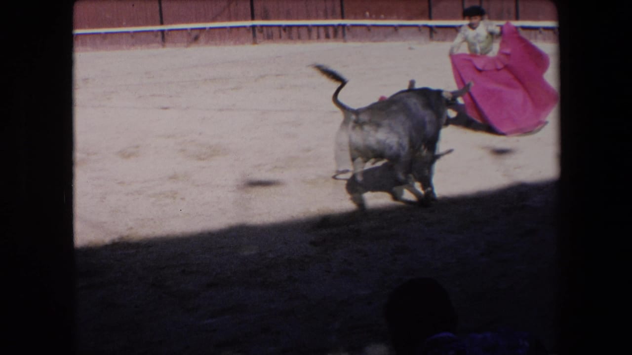 The bull lunges low across the sandy ring while the bullfighter stands behind a magenta cape, with strong sun and shadow cutting across the arena floor.