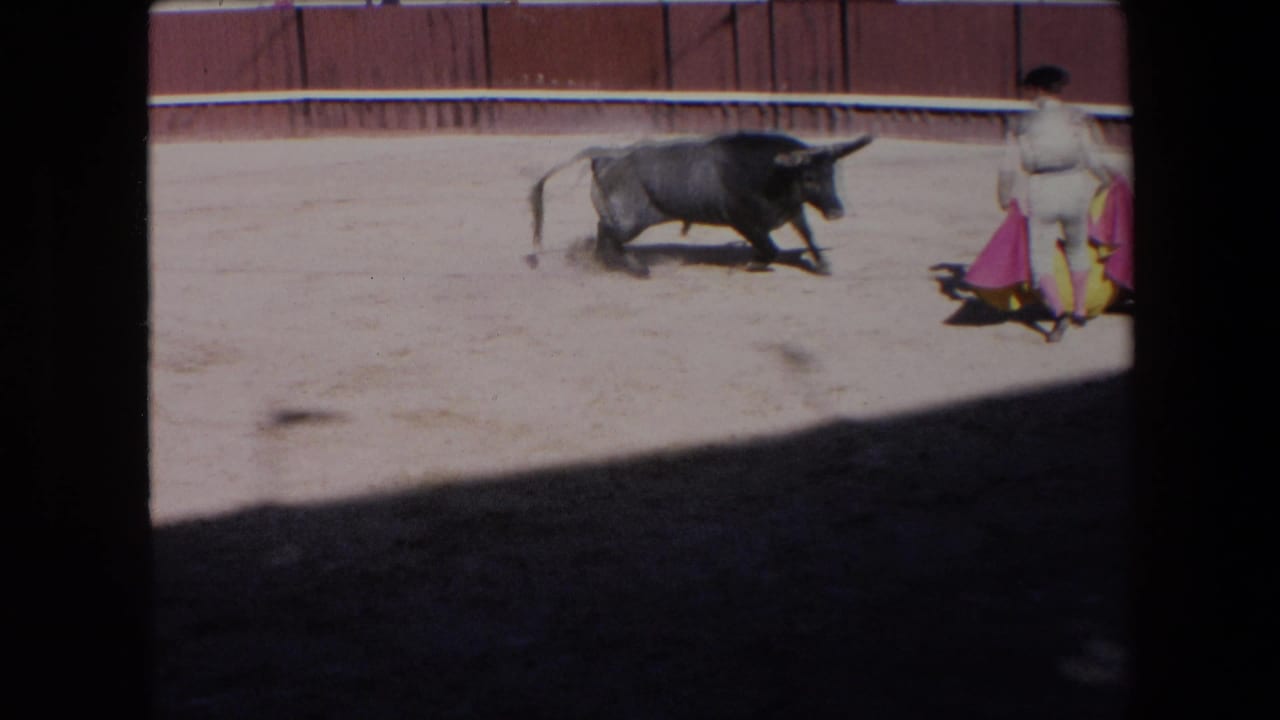 A black bull runs across the sunlit dirt arena while the bullfighter remains at the right edge holding the cape, framed by the red-toned bullring barrier.