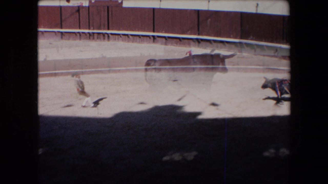 The bull moves quickly across the sunlit sandy ring, with a matador or assistant and cape near the barrier in the 1971 Barcelona arena scene.