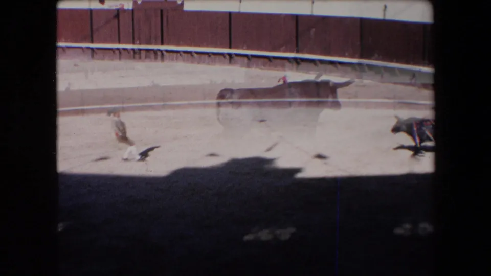 The bull moves quickly across the sunlit sandy ring, with a matador or assistant and cape near the barrier in the 1971 Barcelona arena scene.