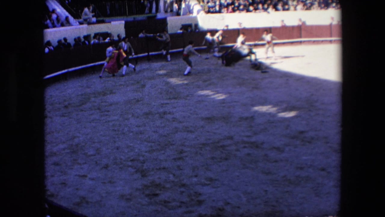 Several bullring participants stand near the bull and capes in the sandy arena, with the stands visible above and heavy shade crossing the foreground.