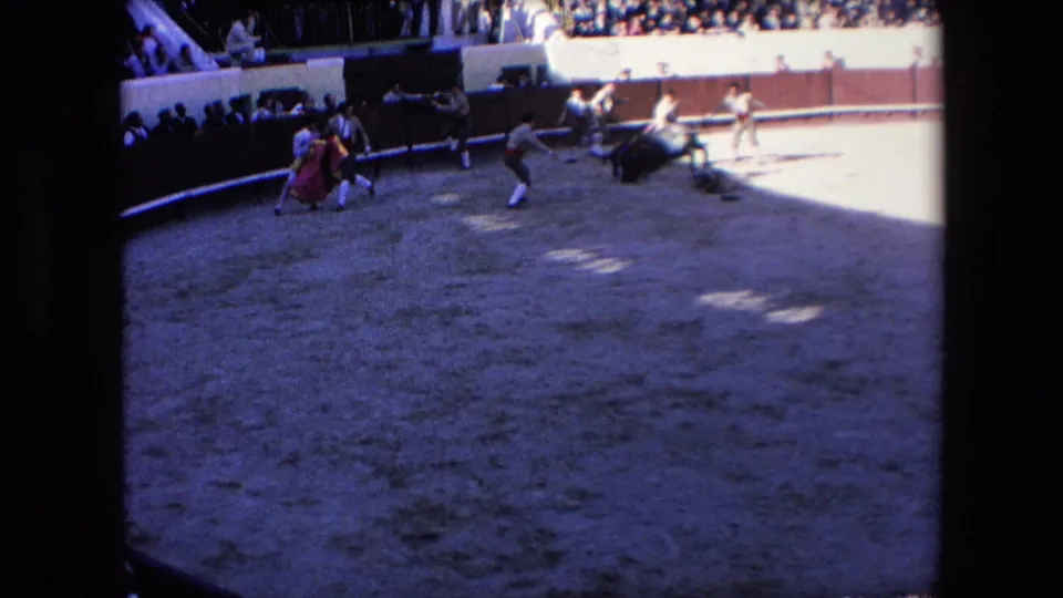 Several bullring participants stand near the bull and capes in the sandy arena, with the stands visible above and heavy shade crossing the foreground.