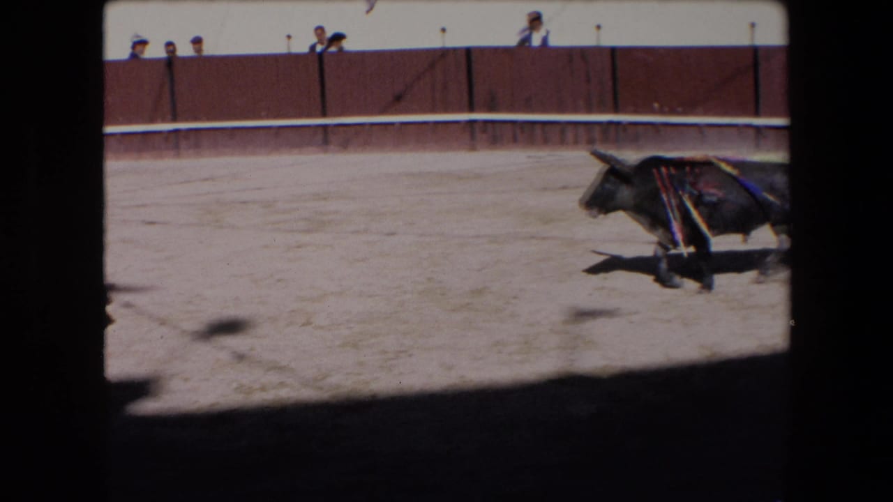 The black bull moves across the sandy Barcelona arena, with barrier panels, a few spectators, and contact-sheet film borders visible around the frame.