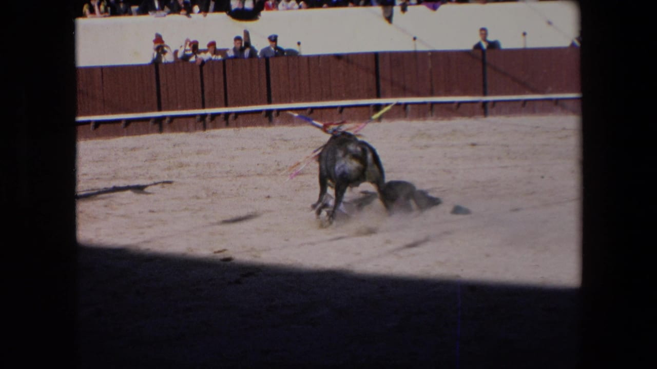 In a 1971 Barcelona bullring scene, a black bull stands over or near a fallen bullfighter on the sandy arena floor as spectators look on from behind a wooden barrier.