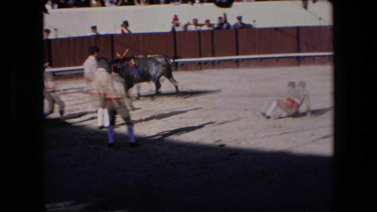In the Barcelona bullfighting footage, men in ring attire move toward the black bull while a bullfighter remains down on the sandy arena floor near the barrier.