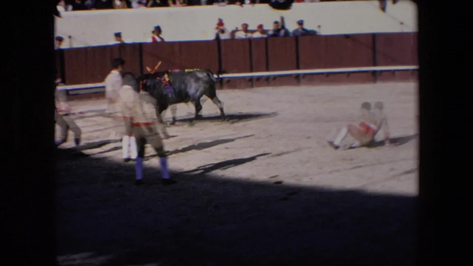 In the Barcelona bullfighting footage, men in ring attire move toward the black bull while a bullfighter remains down on the sandy arena floor near the barrier.