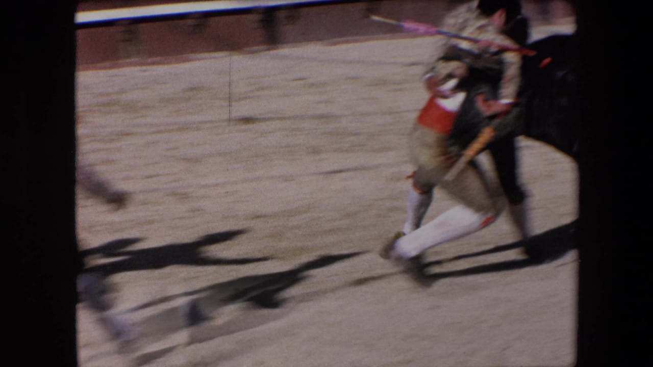 The final Barcelona bullring frame shows a bullfighter moving quickly across the sandy arena, with another performer and the black bull partly cropped at the right edge.