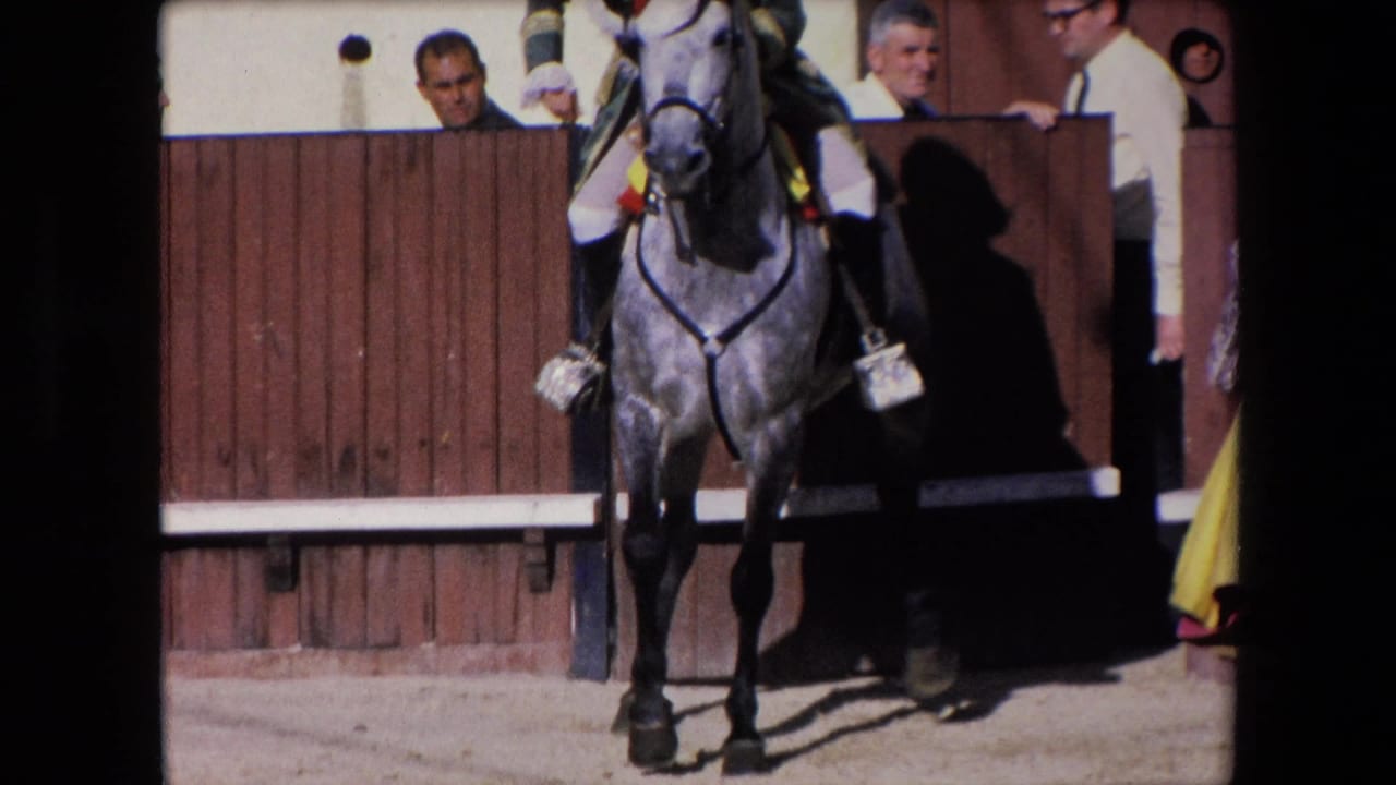 A grey horse with decorative ribbons faces toward the camera under its rider in the Barcelona arena setting, with men near the wooden barrier and spectators still visible above.