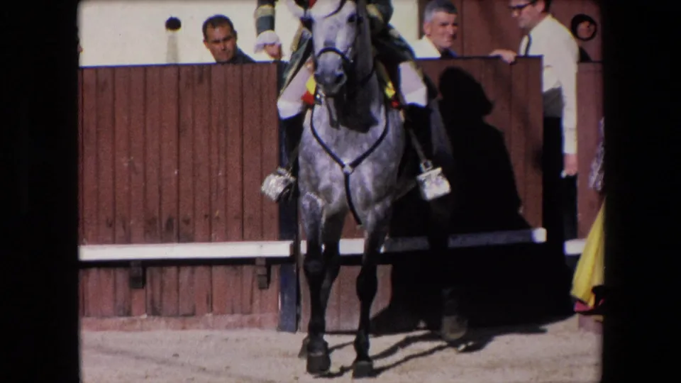 A grey horse with decorative ribbons faces toward the camera under its rider in the Barcelona arena setting, with men near the wooden barrier and spectators still visible above.