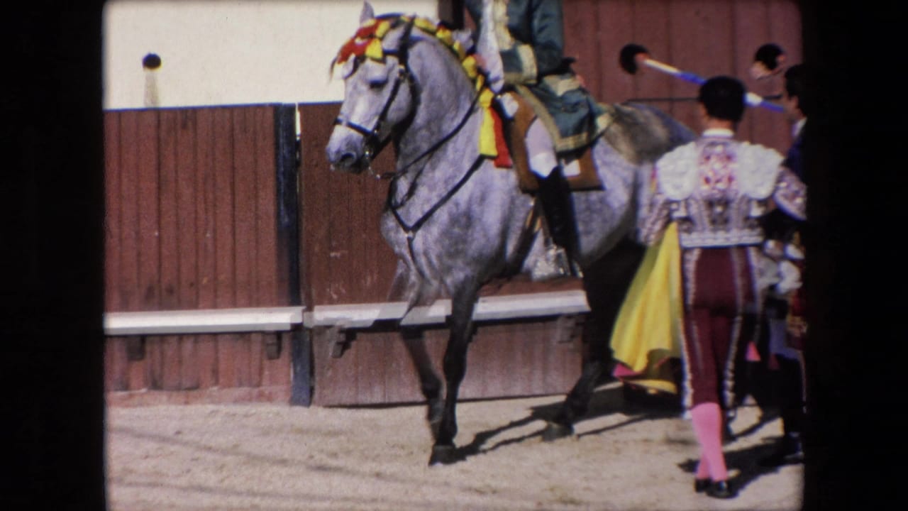 In 1971 Barcelona footage, a decorated dapple-gray horse stands near a matador in an ornate suit inside a sunlit bullfighting arena.