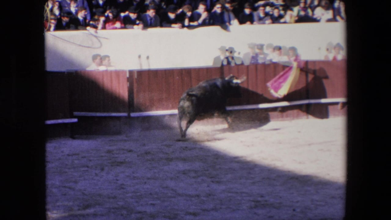 In the Barcelona bullfighting arena, a black bull moves toward a matador with a cape while spectators watch from behind the barrier.