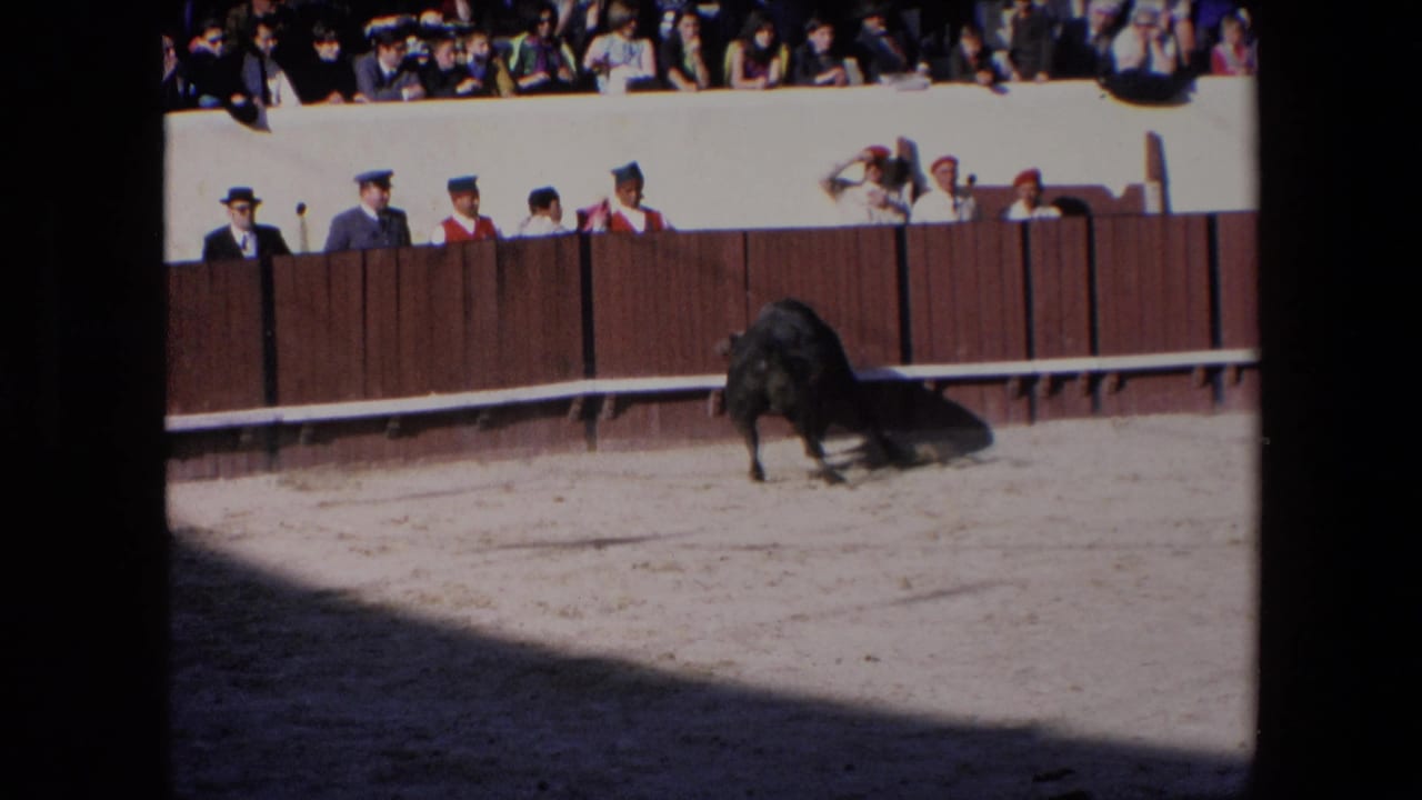A black bull stands or moves across the sandy bullfighting arena in 1971 Barcelona footage, with spectators visible behind the wooden barrier.