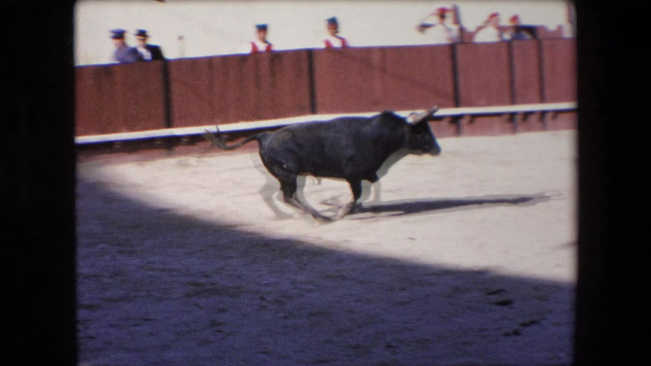 A black bull moves across the bright sand of a Barcelona bullring, with a wooden barrier, seated spectators, and uniformed or formally dressed figures visible along the upper edge.