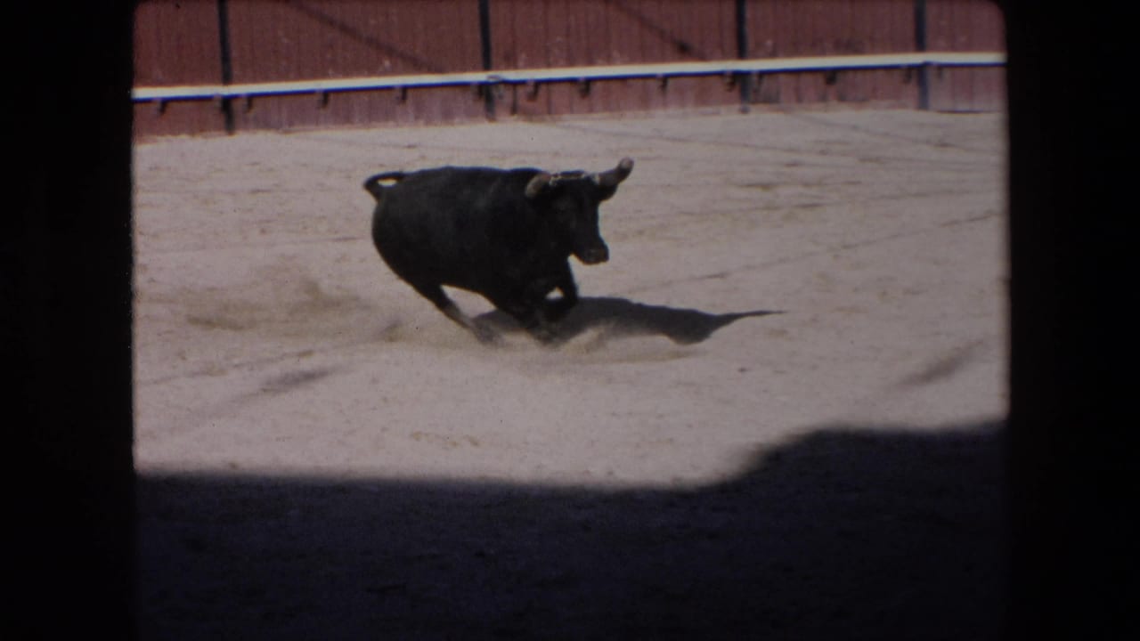 The bull pivots or charges toward the camera side of the sand ring, with dust near its hooves, a long shadow on the ground, and the wooden arena barrier in the background.
