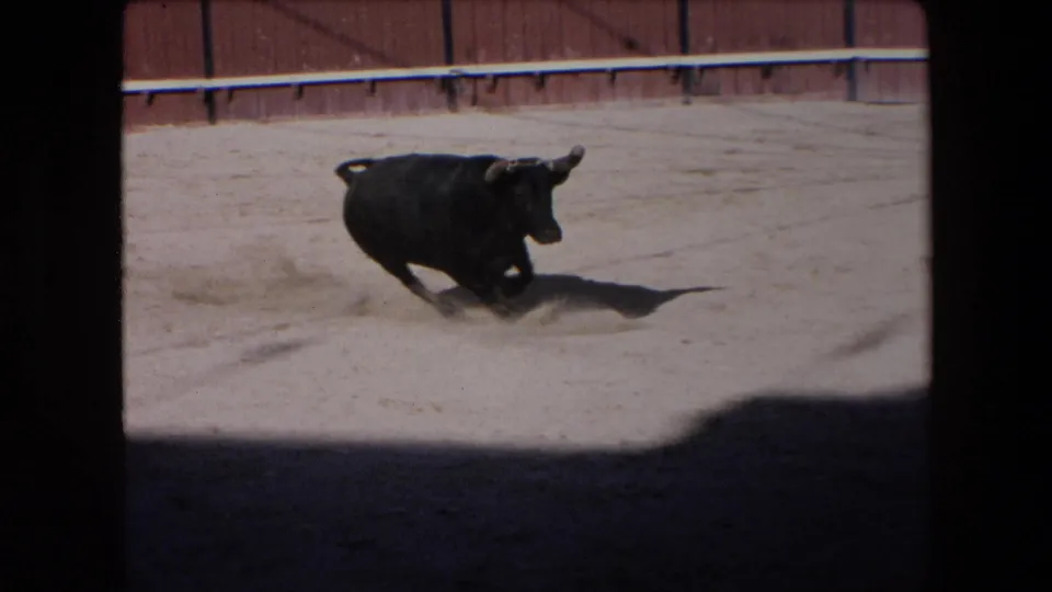 The bull pivots or charges toward the camera side of the sand ring, with dust near its hooves, a long shadow on the ground, and the wooden arena barrier in the background.