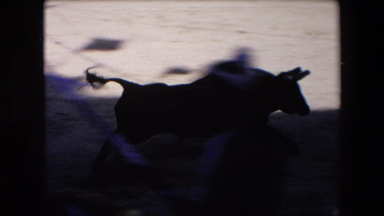 The bull crosses through a heavily shadowed part of the arena, appearing mostly in silhouette against brighter sand beyond, with blurred movement and partial figures near the lower frame edge.
