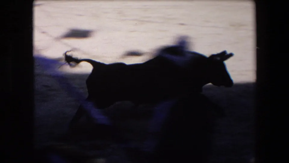 The bull crosses through a heavily shadowed part of the arena, appearing mostly in silhouette against brighter sand beyond, with blurred movement and partial figures near the lower frame edge.