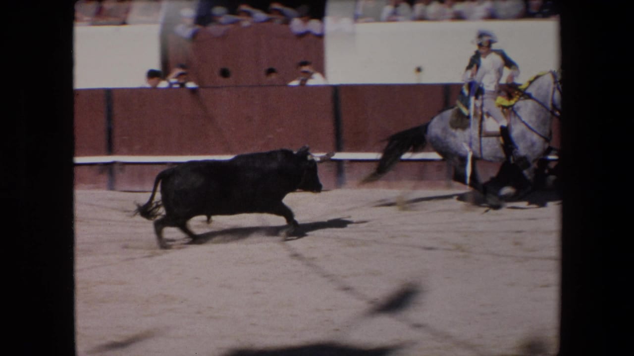 The bull crosses the sand beside the ring barrier as a mounted participant on a gray horse watches from the side of the Barcelona arena.