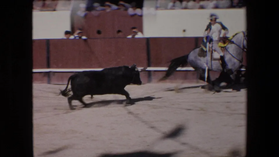 The bull crosses the sand beside the ring barrier as a mounted participant on a gray horse watches from the side of the Barcelona arena.