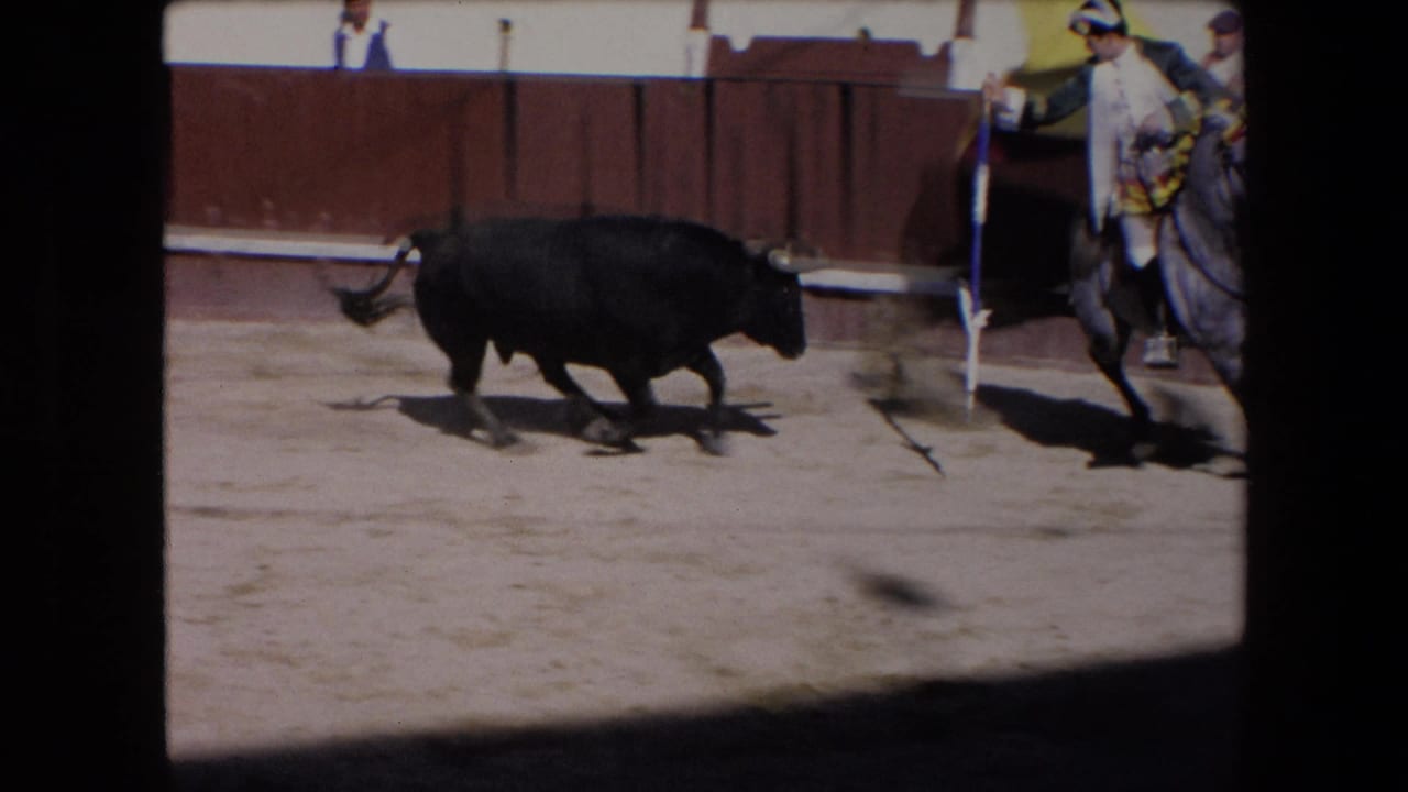 A black bull runs across the sand while a mounted rider and horse move near the barrier in this short 1971 Barcelona bullfight clip.