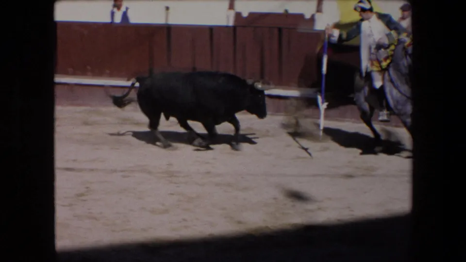 A black bull runs across the sand while a mounted rider and horse move near the barrier in this short 1971 Barcelona bullfight clip.