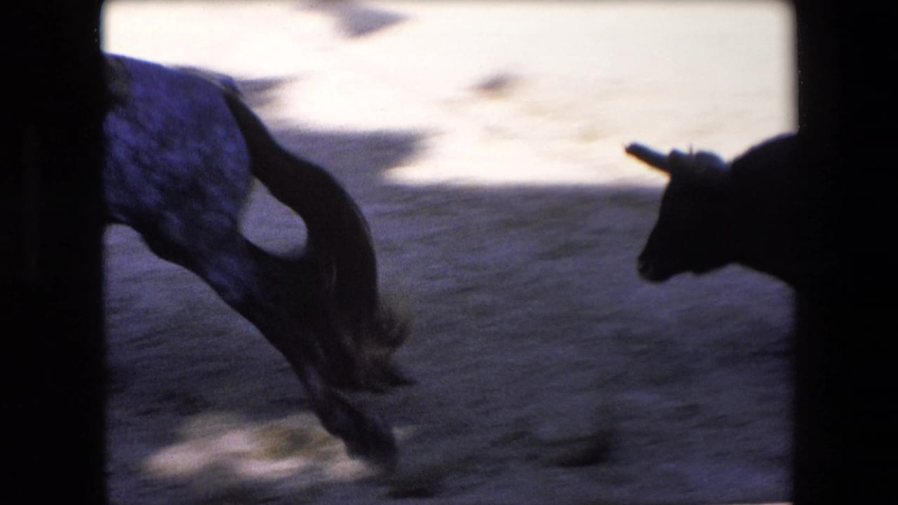 Motion-blurred bull runs across the sandy arena with another bull shape at the edge of frame.