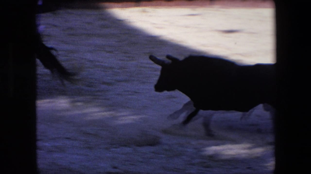 The bull appears as a dark moving silhouette crossing the sandy arena, with strong contrast between shadow and sunlit ground in the home-movie frame.
