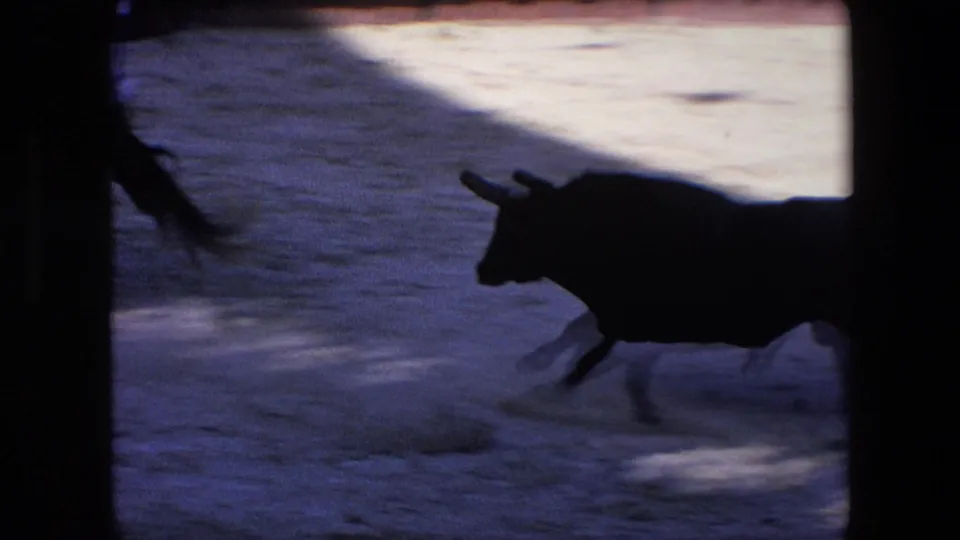 The bull appears as a dark moving silhouette crossing the sandy arena, with strong contrast between shadow and sunlit ground in the home-movie frame.